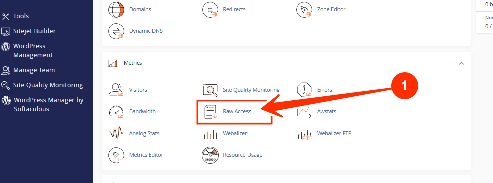cPanel - Metrics section - Raw Access