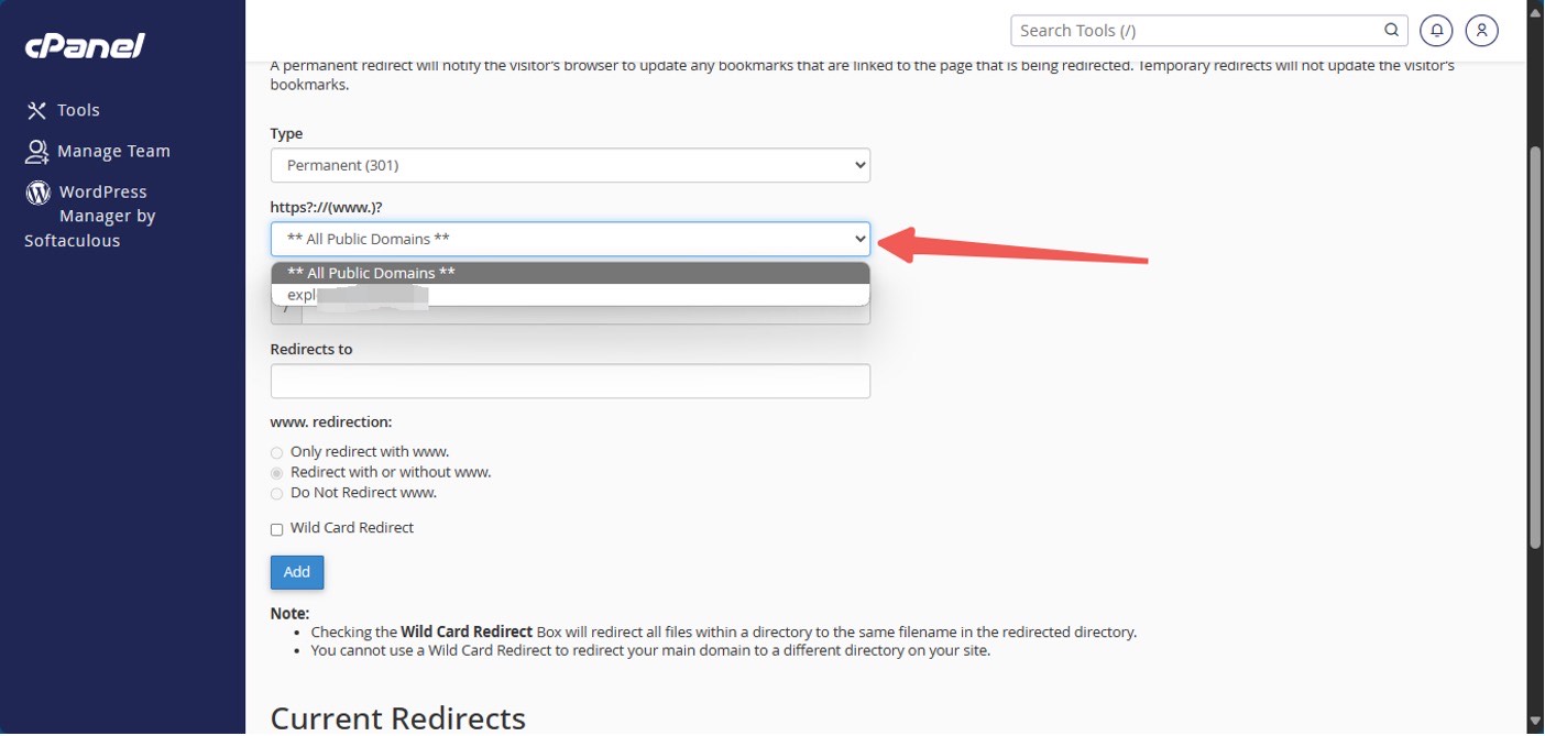 LyteHosting All Public Domains