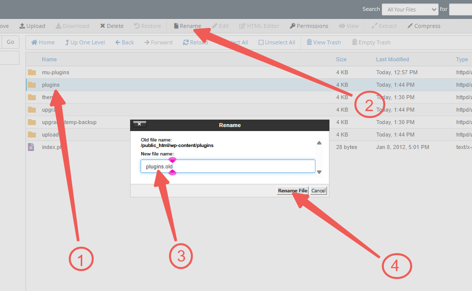 wp-content - plugins - plugins.old - Rename File