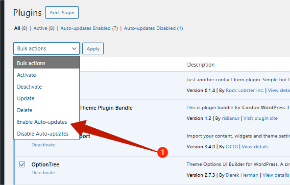 Automatic Update - Enable Auto-Updates