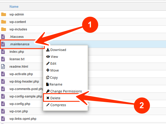 maintenance - Delete