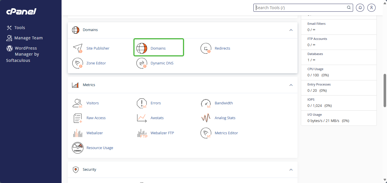 cPanel Domains Section