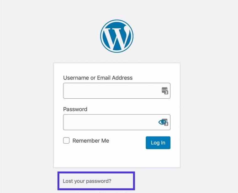 WordPress Login Page - Lost Your Password