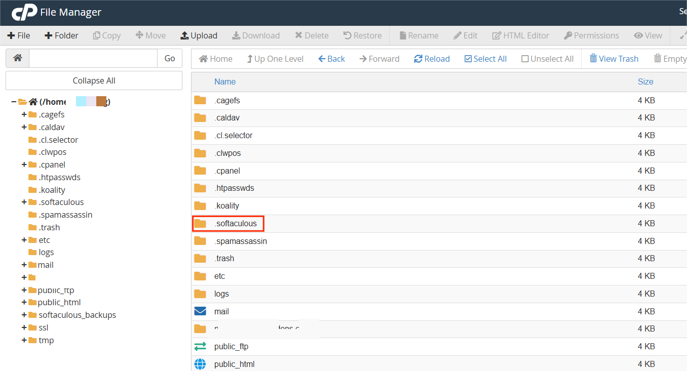 cPanel - File Manager - softaculous_backups directory