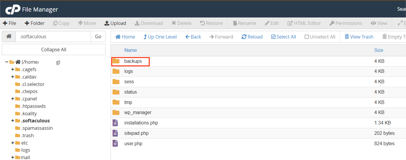 cPanel - Backups - .tar gz file