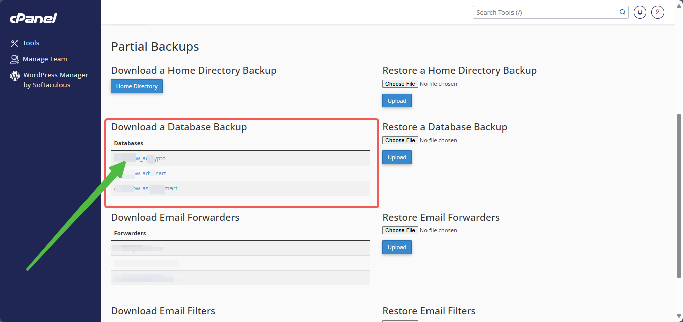 cPanel - Partial Backups - Download a MySQL Database Backup