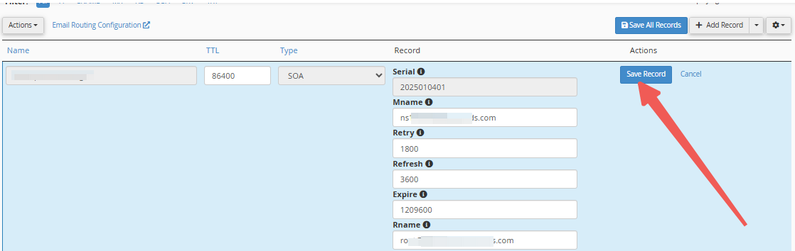 DNS Zone Manager - Save Record