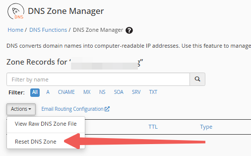 DNS Zone Manager - Actions - Reset DNS Zone