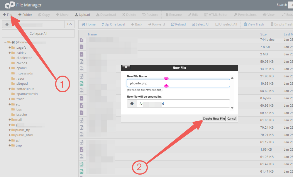 cPanel - + File - phpinfo.php - Create New File