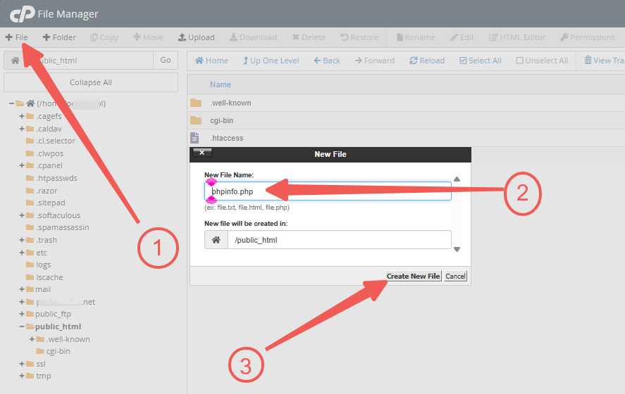 cPanel - + File - Primary Domain phpinfo.php - Create New File