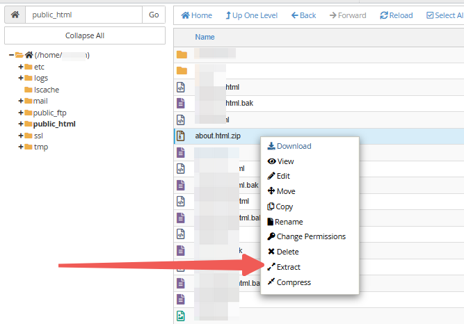 cPanel - File Manager - Files - Extract