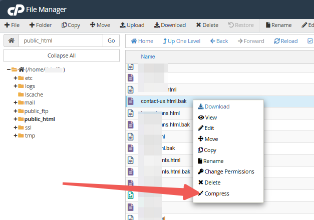 cPanel - File Manager - Files - Compress