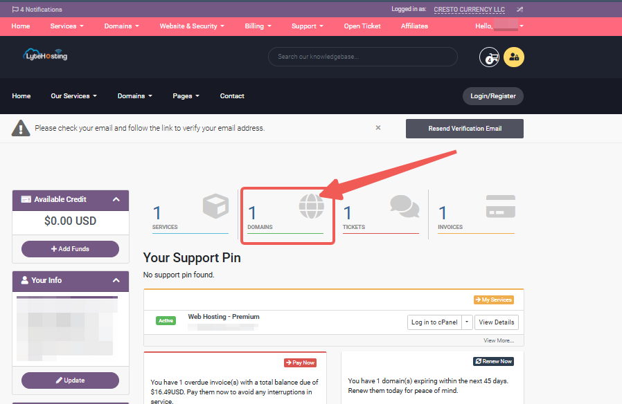 Customer Portal - Domains