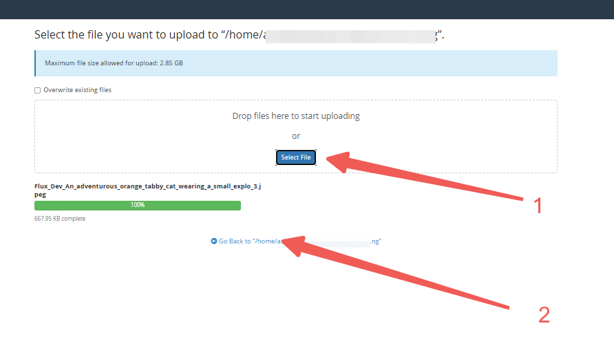 Select File - Go Back to - home - your-username - public_html