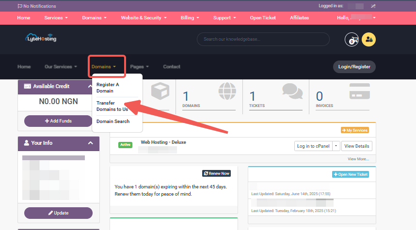 Client Area - Domains - Transfer Domains to Us