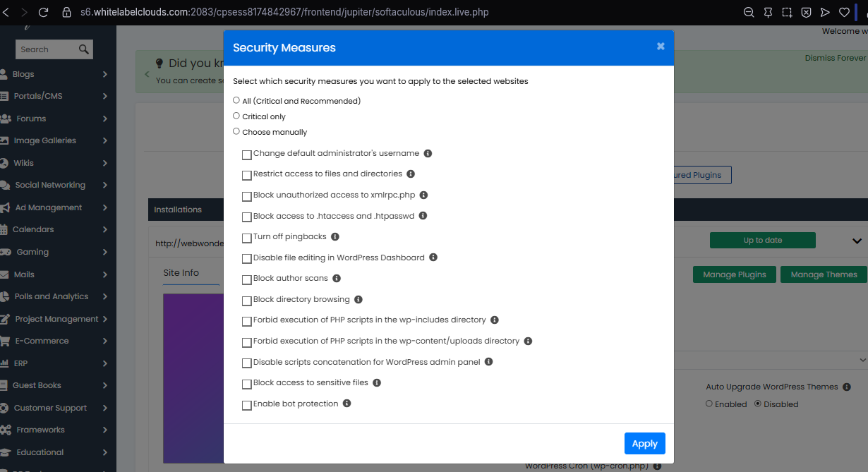 Options Available in WordPress Manager