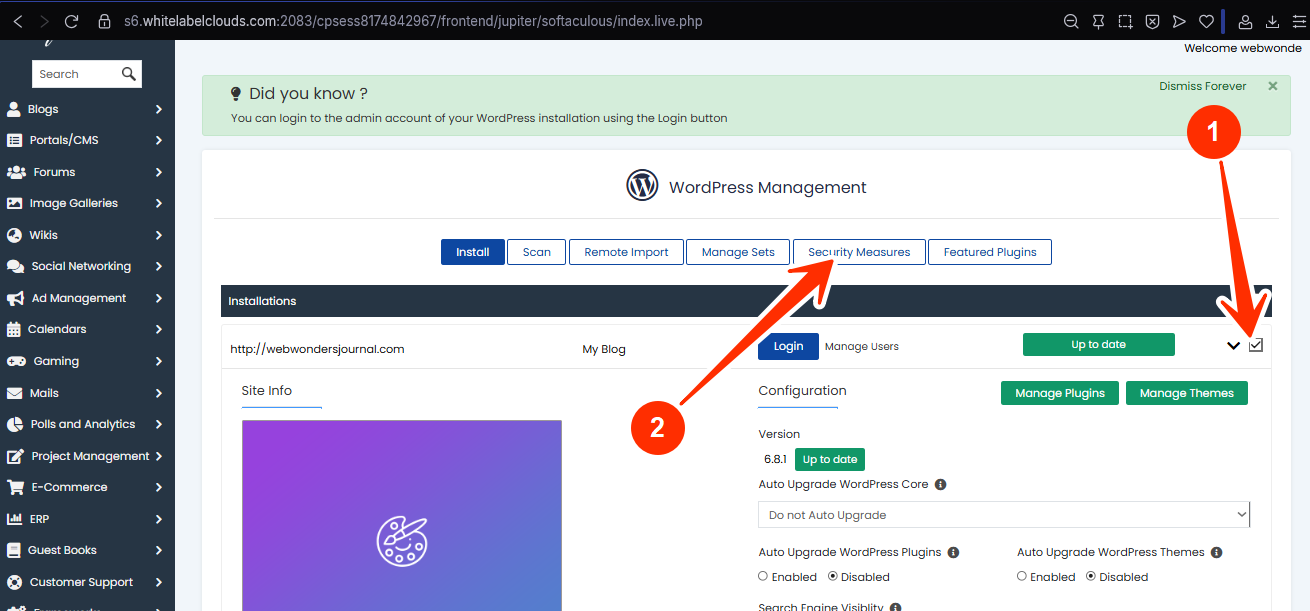 WordPress Manager - Security Measures