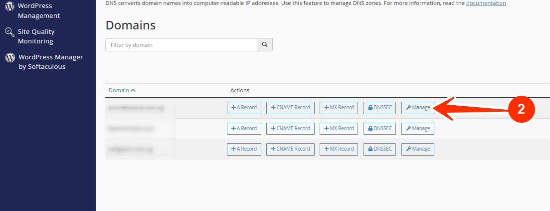 Domain to Update - Manage