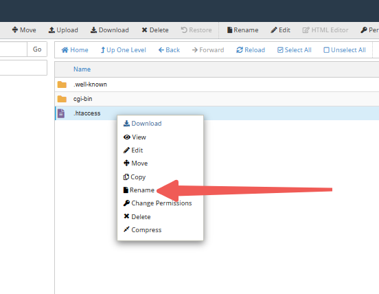Rename .htaccess File