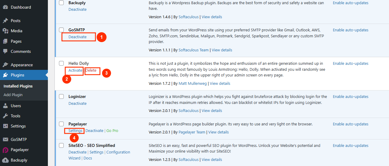 WordPress - Plugins Options