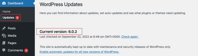 WordPress Core Updates
