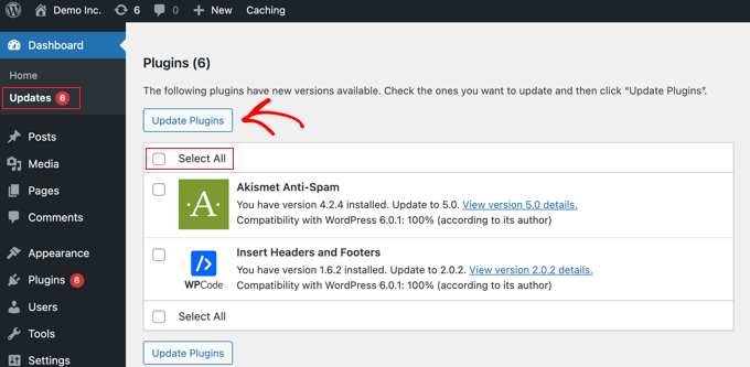 WordPress Plugin Updates