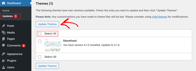 WordPress Theme Updates